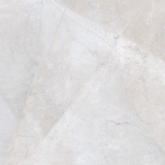 Close-up detail of Vali Odin Porcelain showing matte stone finish with distinct veining patterns.
