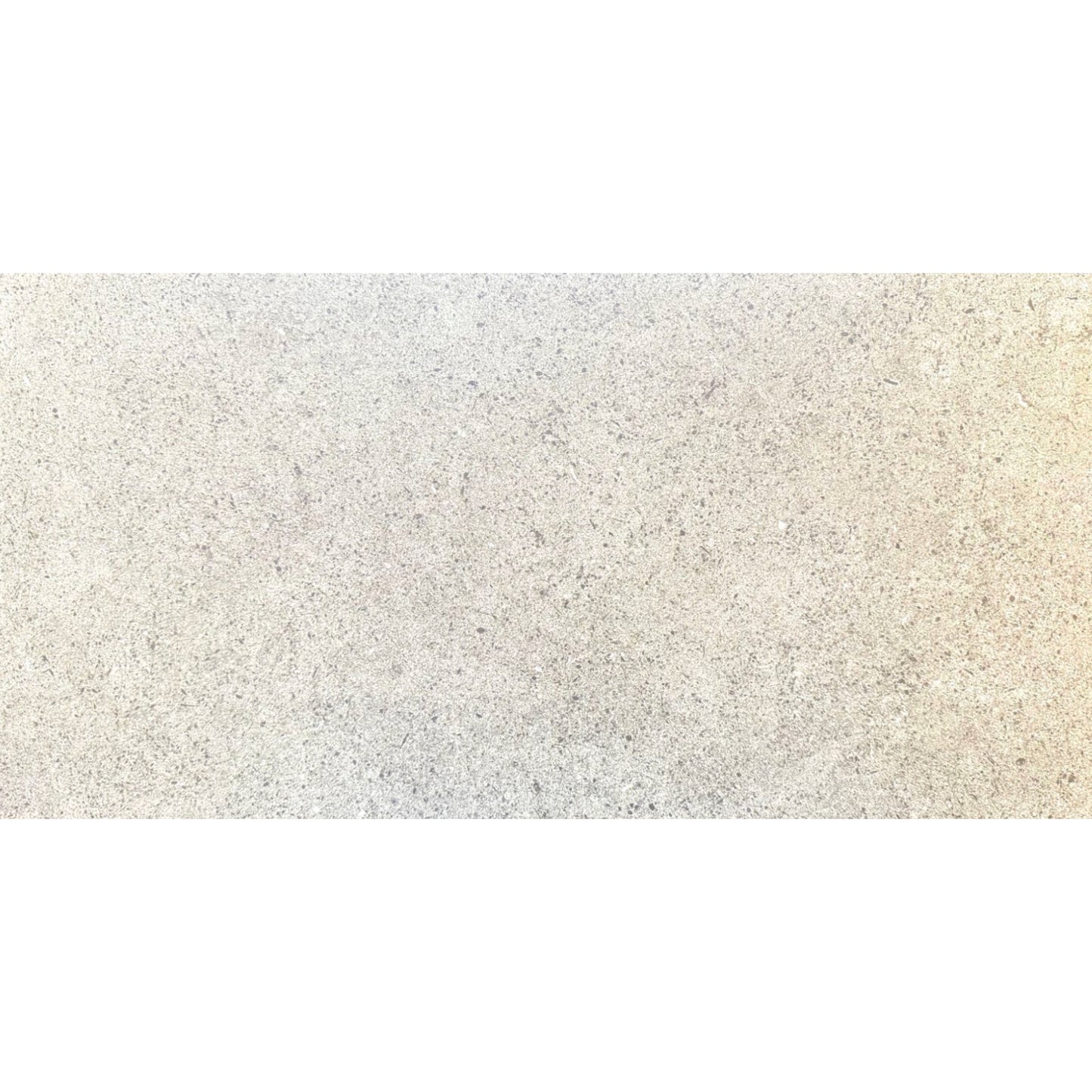 Matte of Earth Sand Semi Porcelain 12x24