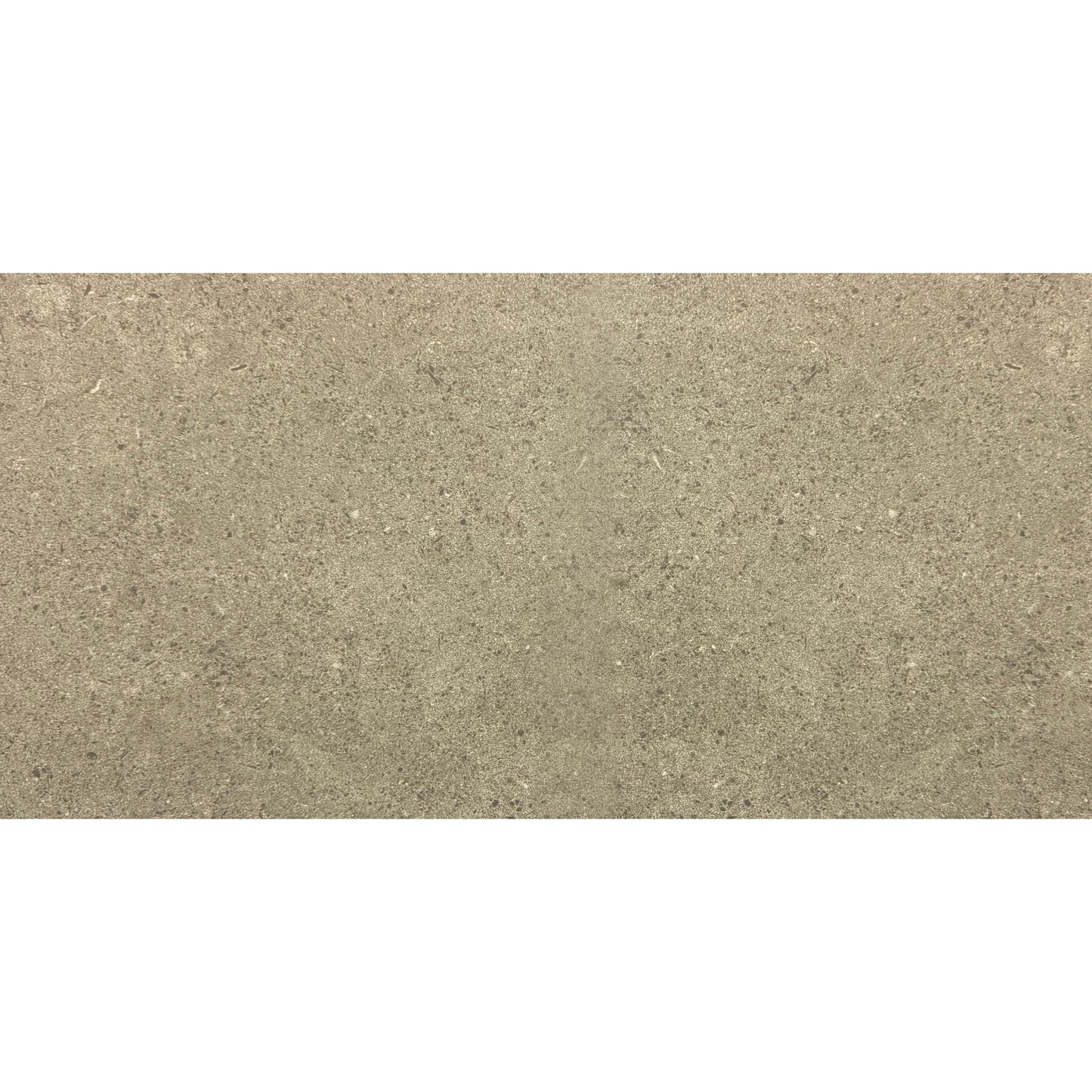 Matte face view of Earth Taupe Porcelain Tile 12x24