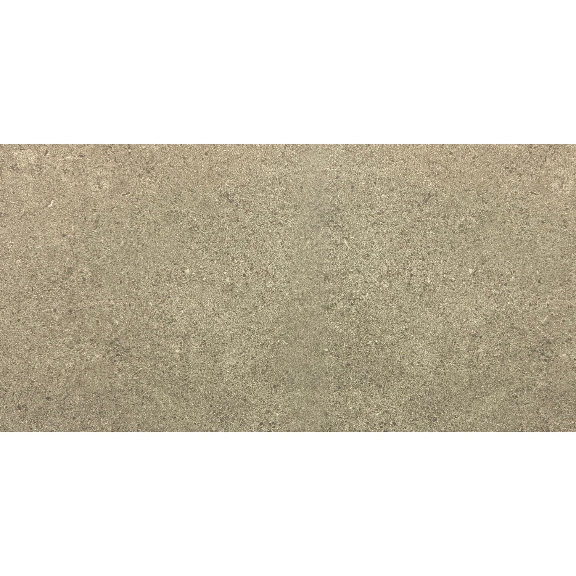 Matte face view of Earth Taupe Porcelain Tile 12x24