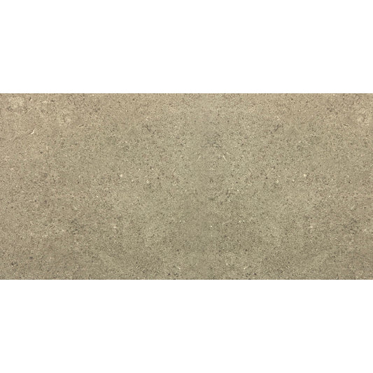 Matte face view of Earth Taupe Porcelain Tile 12x24