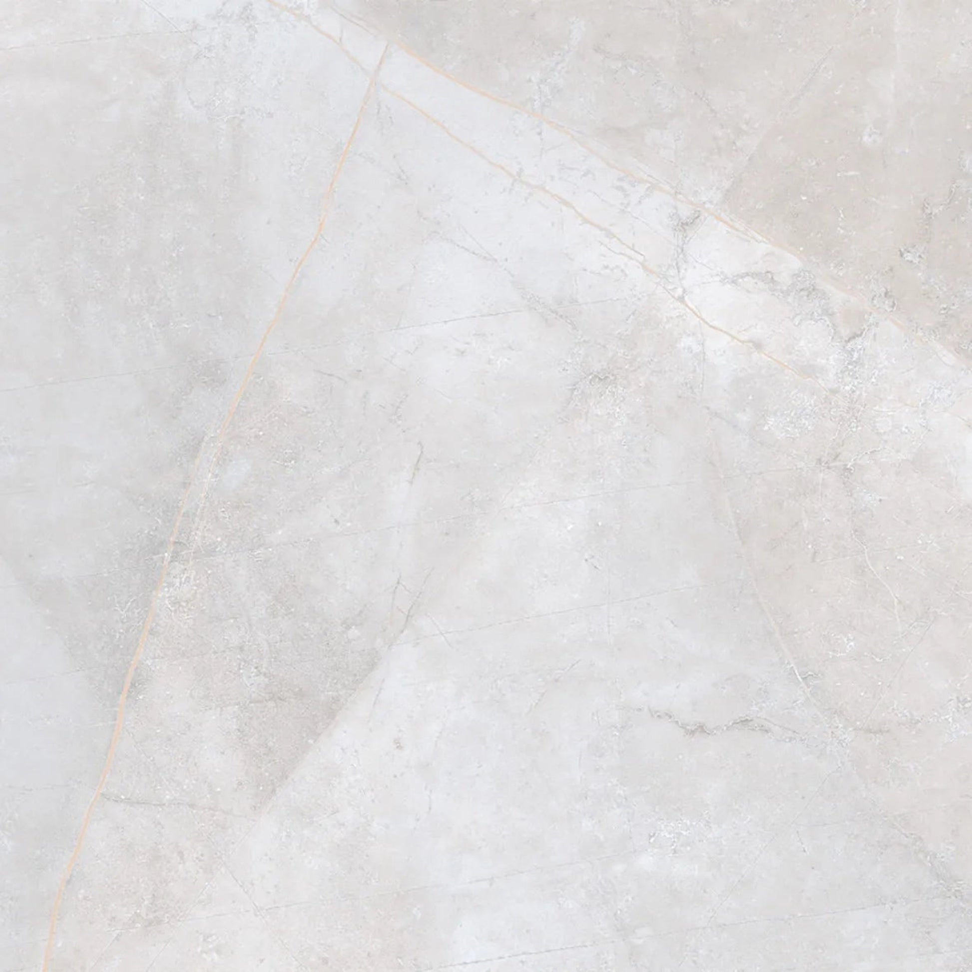 Close-up detail of Vali Odin Porcelain showing matte stone finish with distinct veining patterns.
