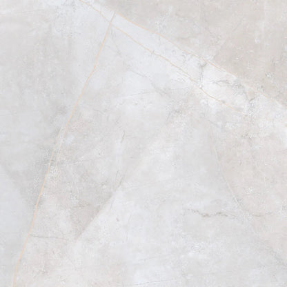Close-up detail of Vali Odin Porcelain showing matte stone finish with distinct veining patterns.